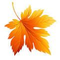 RESTAURATION CJB VACANCES AUTOMNE 2023