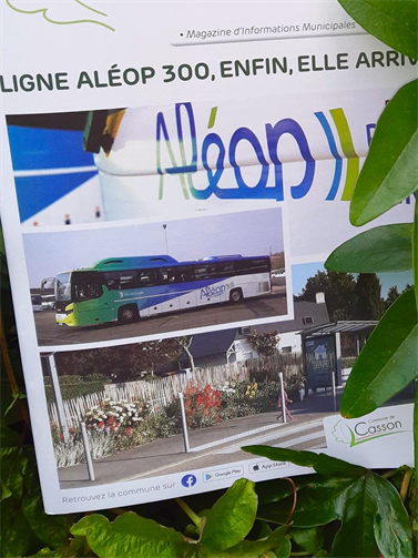 ALEOP Ligne 300 - Horaires disponibles ALEOP Ligne 300 - Horaires disponibles