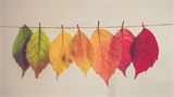 PROGRAMME VACANCES AUTOMNE 2025