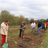 10 000 enfants pour une forêt