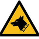 Chiens catégorisés