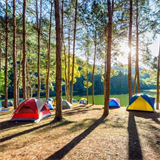 Camps d'été 2023