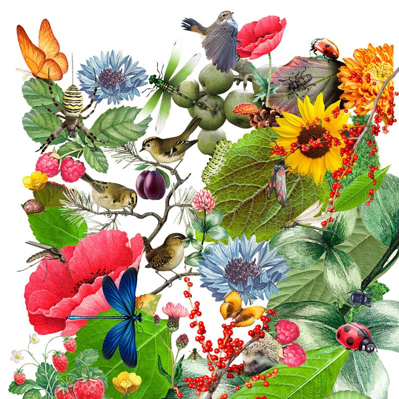 LE BOUTURAGE
