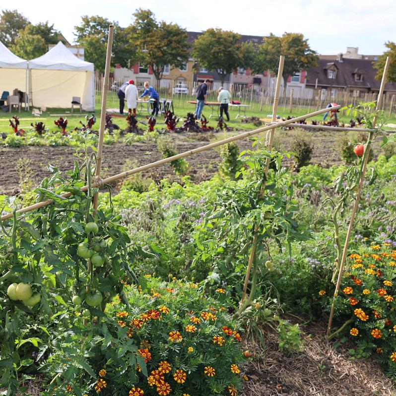 Permanence entraide alimentaire