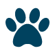 Chien, chat, animal écrasé
