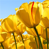 Programme vacances PRINTEMPS