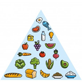 Information des consommateurs sur les denrées alimentaires INCO