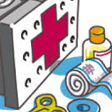 Fiche sanitaire 2024-2025