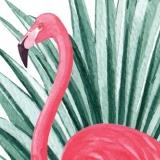 Vacances de printemps des Moussaillons : "Dans les plumes" 