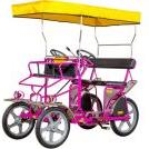  Rosalie 2024-2025 - ramassage scolaire