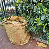 Reprise de la collecte des déchets verts