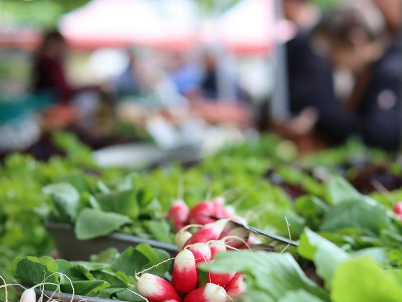 Marché du vendredi déplacé