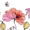 Fêtez le Printemps- retirez votre sachet de graines Fêtez le Printemps- retirez votre sachet de graines