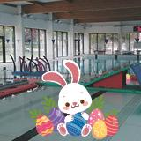 Chasse aux oeufs à la Piscine