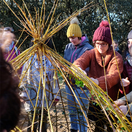 "Saule vivant et vannerie" : participez au projet "Saule vivant et vannerie" : participez au projet
