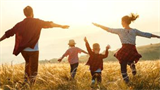 PLANNINGS DES ACTIVITES DU CENTRE DE LOISIRS 